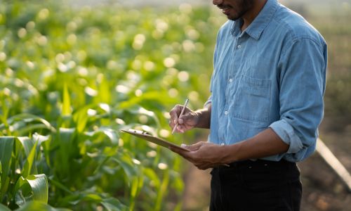 Diplomado en Formación de Mayordomo en Gestión de Haciendas en el Sector Agrario